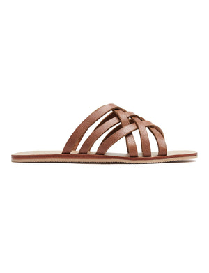 Bruno Sandal - havana